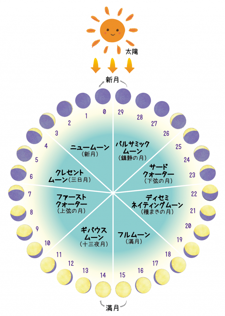 【月相占い】あなたの月相を調べる方法と月相別に個性・特徴を解説｜星読みテラス