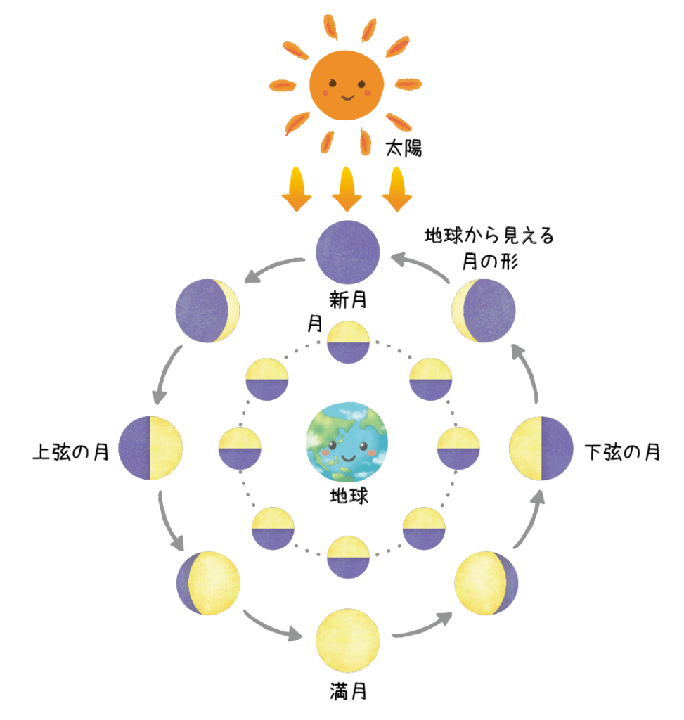 【月相占い】あなたの月相を調べる方法と月相別に個性・特徴を解説｜星読みテラス