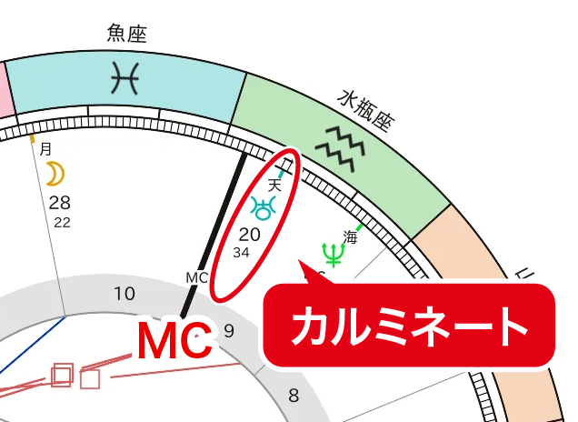 カルミネート_定義