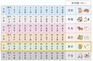 2_天中殺解説画像_寅卯