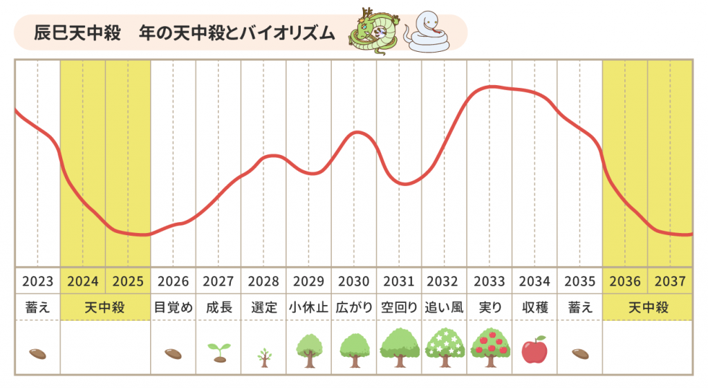 辰巳_年の天中殺