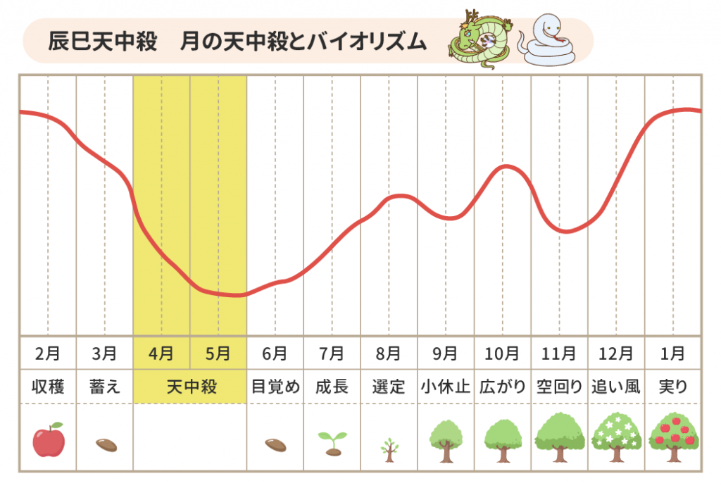 辰巳_月の天中殺