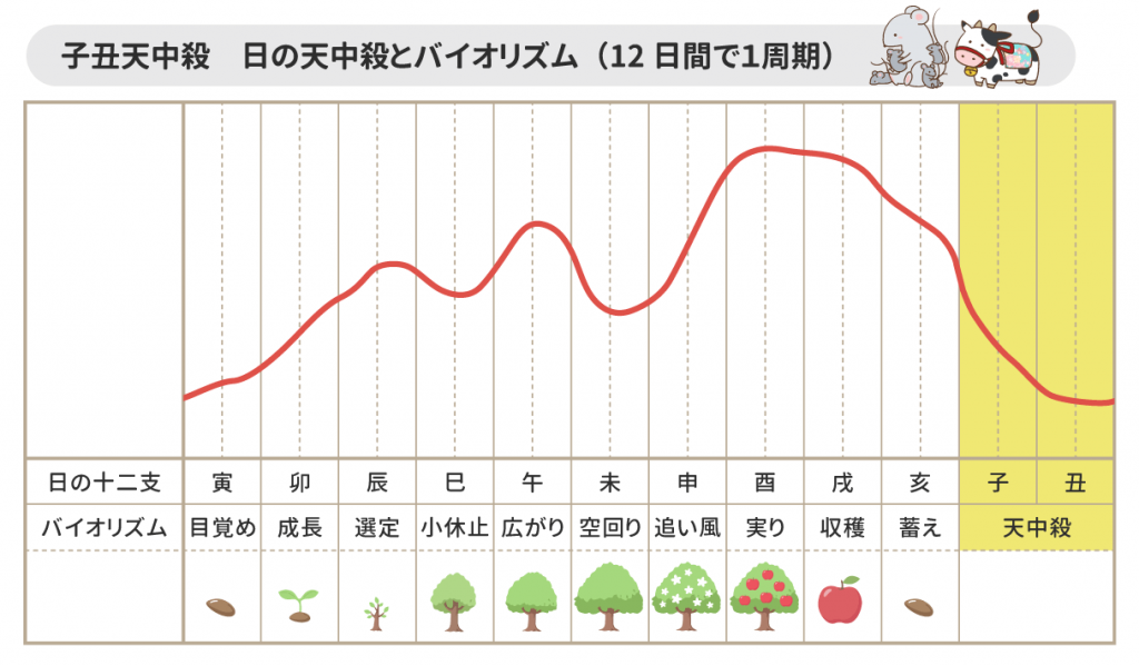 天中殺早見表【2025年】天中殺(年・月・日・時間)を無料で調べる|優しい四柱推命