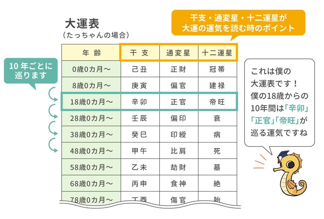 四柱推命【大運】とは？見方・過ごし方を解説｜10年の運気を占おう｜優しい四柱推命