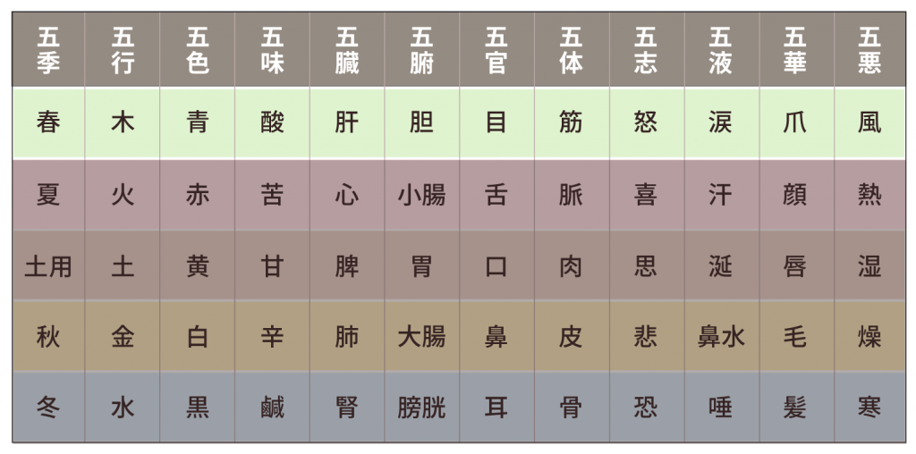 五行色体図_表バージョン_木にハイライト