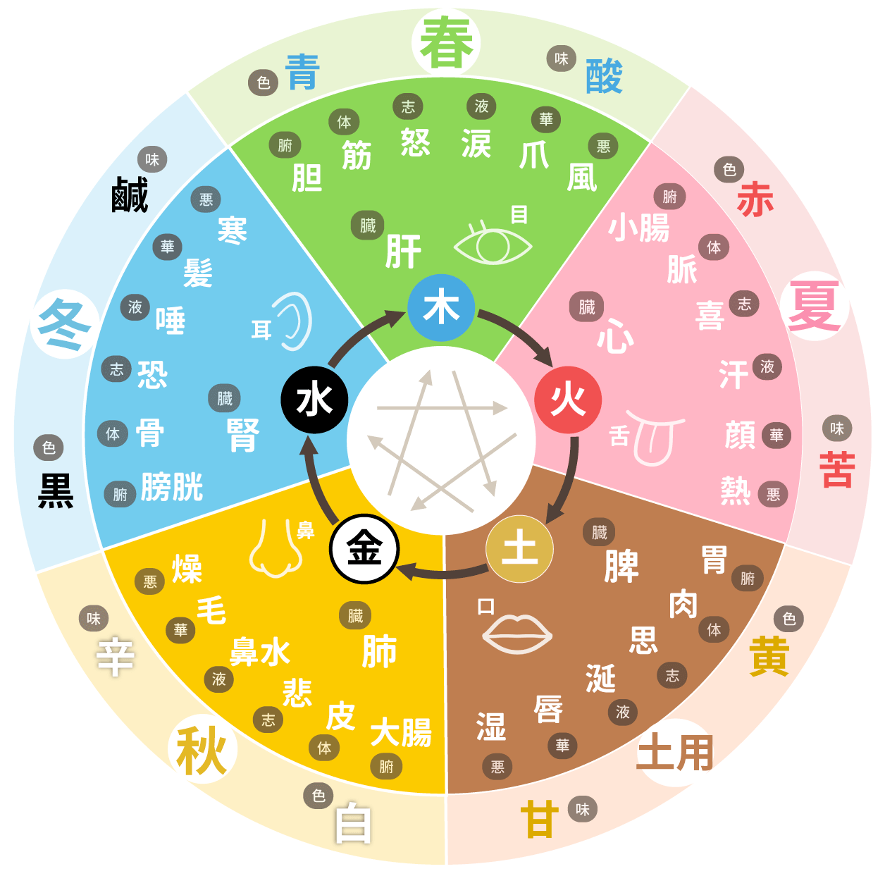 五行色体図_円形