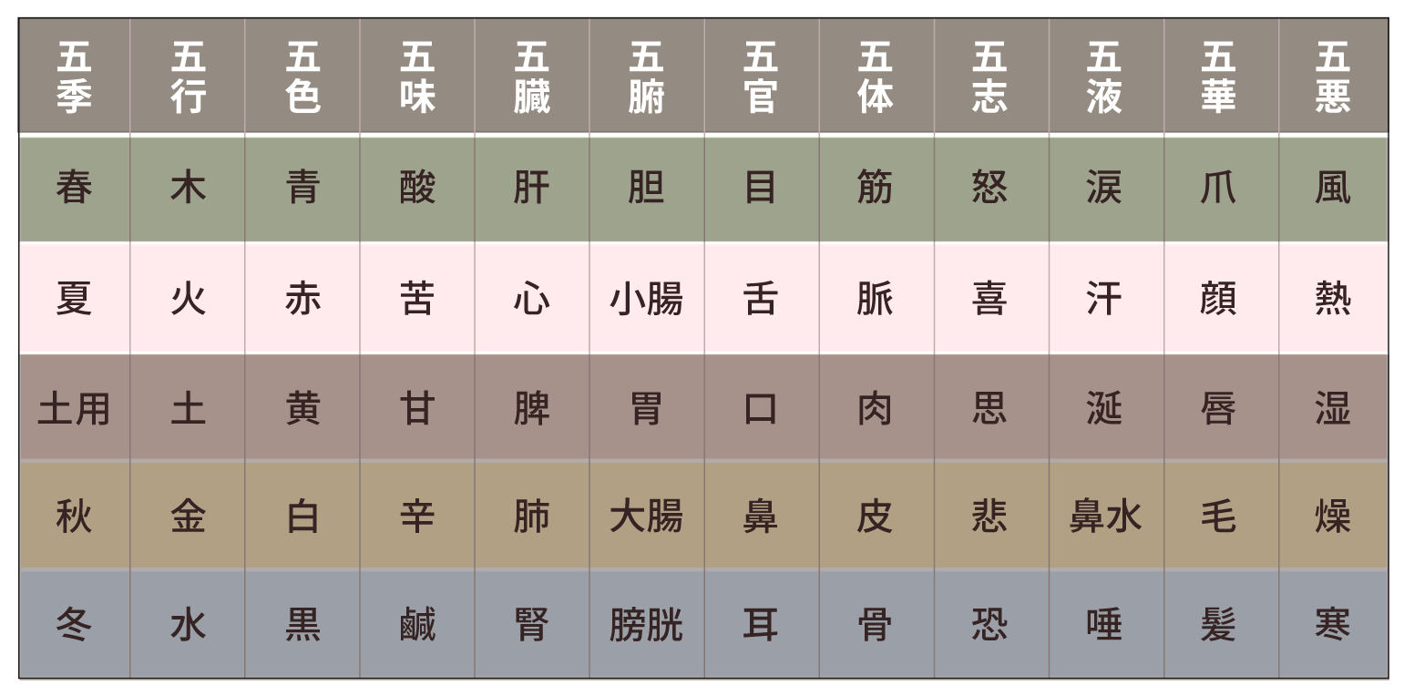 五行色体図_表バージョン_火にハイライト