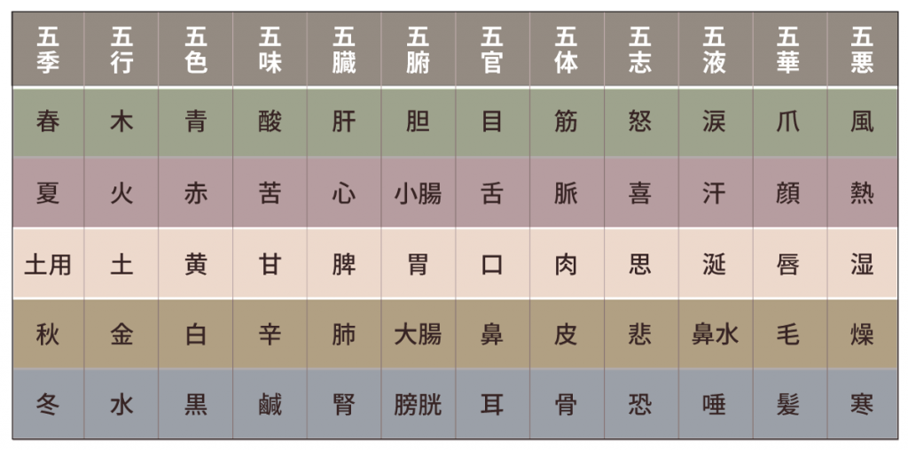 五行色体図_表バージョン_土にハイライト