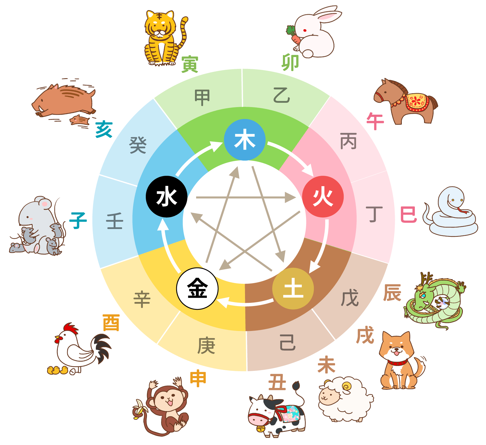 十二支と五行と十干の相関図