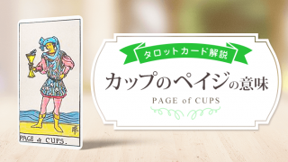 page_Cups_アイキャッチ